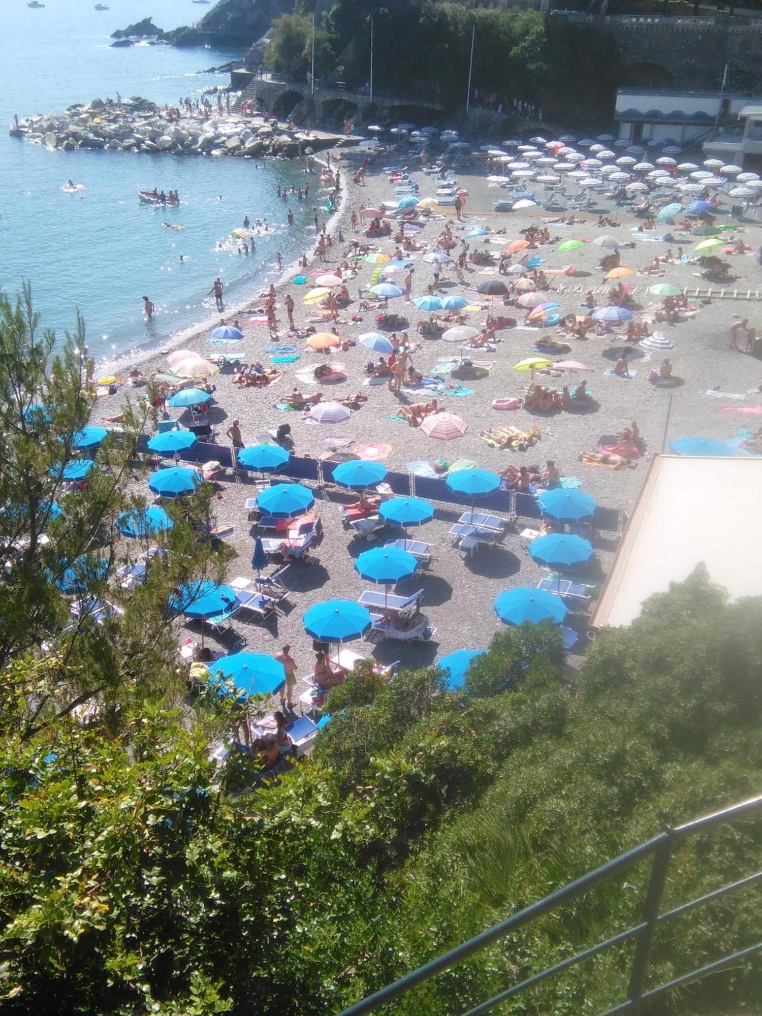 Al Mare Davanti A Portofino - By The Sea In Front Of Portofino Zoagli Eksteriør bilde